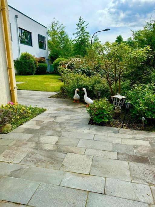 Haus Mit Pool Im Herzen Bochums